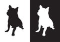 Chihuahua dog breed - silhouette vectorÃ¢â¬â Stock Illustration Royalty Free Stock Photo